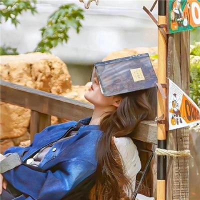 加菲猫和他的朋友们第二季